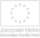 European Social Fund