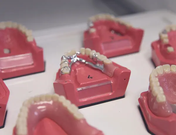 Sets of false upper teeth arranged on the table